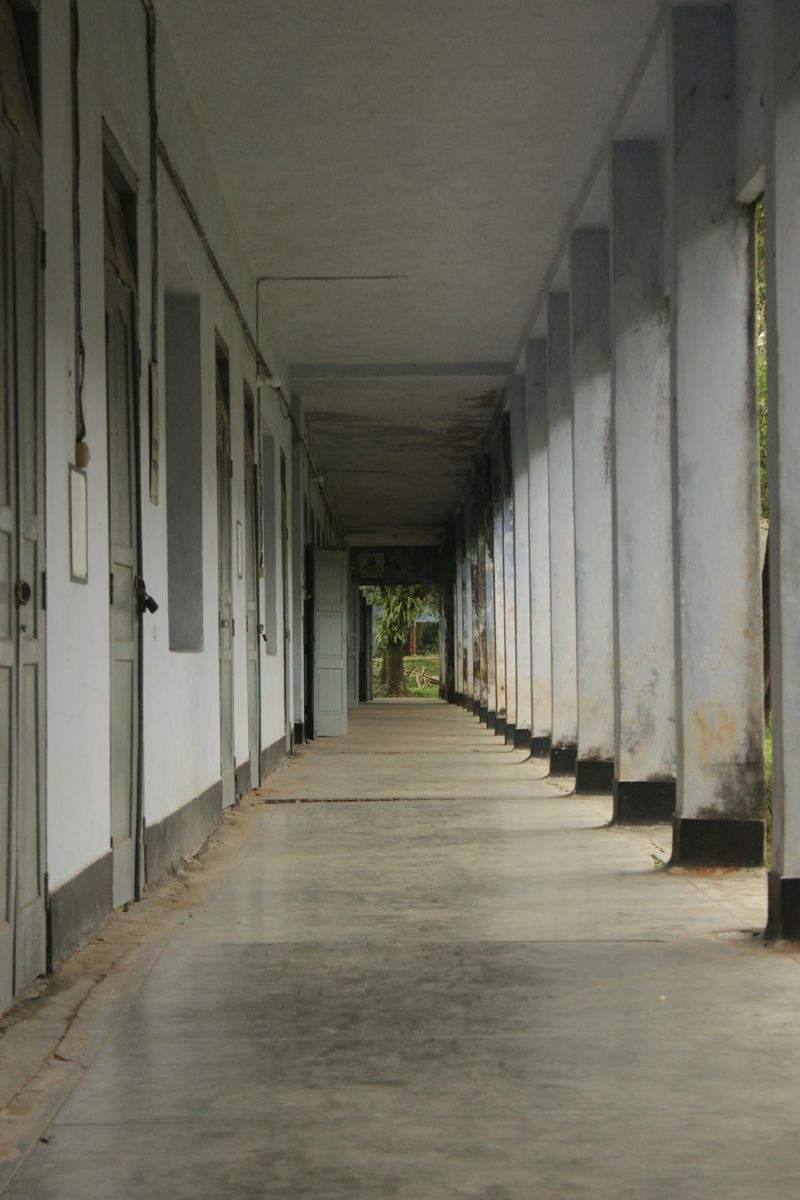 さくら未来学園 12